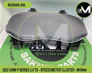 SPEEDOMETER CLUSTER - GWM P-SERIES