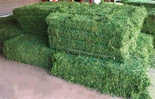 Lucerne Hay Bales wholesale prices