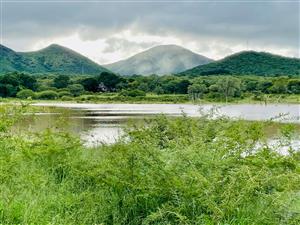 Mauricedale Game Ranch & Boulders Safari Lodge Private reserve