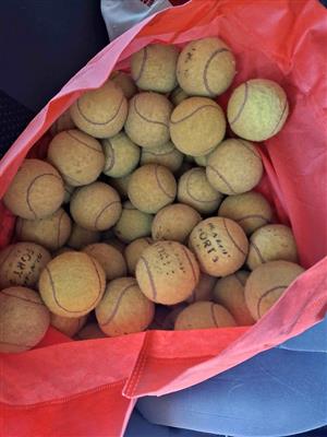 25 Tennis Balls for Sale / PTA East (The Grove Mall) / Perfect for dogs