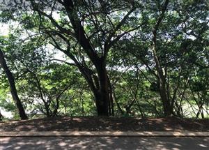 YOUR DREAM STARTS HERE – SIMBITHI GOLF ESTATE