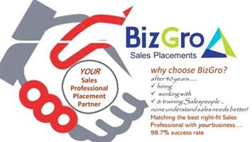 Need a Sales Consultant for your Team?