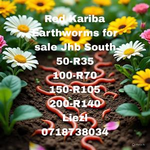 Red Kariba Earthworms