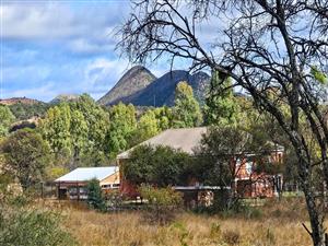 A once-in-a-lifetime opportunity