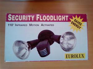 Floodlight New and Used. Globes Extra..