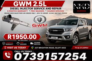 _GWM_2.5L_Bosch_Diesel_Fuel_Injectors_To_Repair
