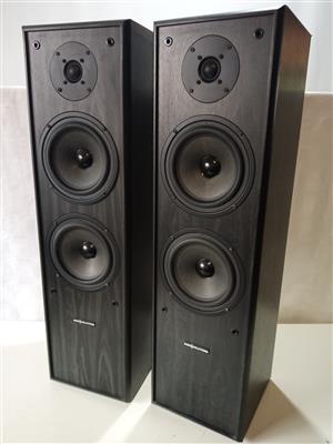 AudioS Floorstanding Speakers