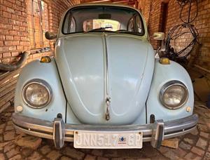 VW Beetle