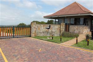 Build your dream coastal retreat – Prime oceanfront stand with plans