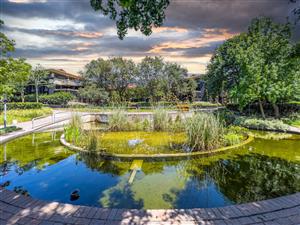 NEW PRICE. For the first time Buyer