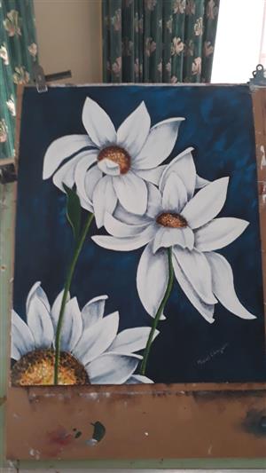 Wit blom Akriel Skildery