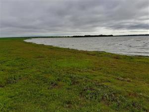 24.5 Hectare Waterfront Farm for Sale on the Banks of the Vaal Dam featuring:
