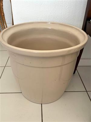 2 x beige ceramic planter pot . 42cm height. Collect in Seapoint