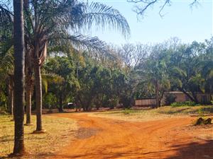 🌟 Rustenburg – For the Investor! Excellent Income-Generating Farm 🌟