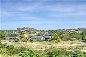 Modern Industrial Oasis