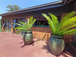 House in SE 2 Proper That Has It All For An Unbelievable Price.