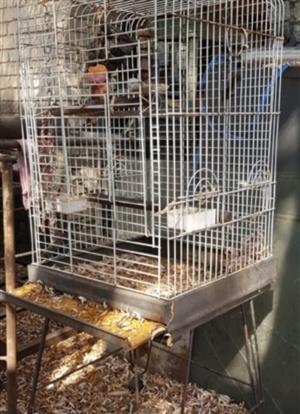Cage for big bird