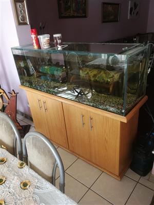 Fish tank to sell for R the with the pump brakpan size 1.5m long .5 heig