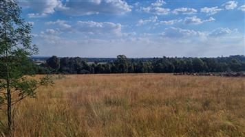 Strategic Agricultural Land Near Eye of Africa – Ideal for Development or Agribusiness