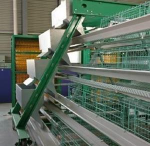 New fully automatic chicken Layer Cages for 10240 layer birds for sale