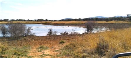 Prime 4,300ha Cattle & Game Farm – A Rare Agricultural & Lifestyle Investment!