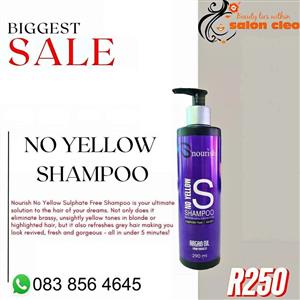 No yellow shampoo |PHOENIX |SALON CLEO
