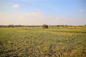 Small Holding For Sale in Koppies Rural