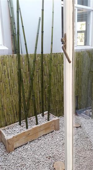 Wattle and bamboo  fencing panels