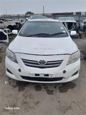 TOYOTA COROLLA PROFESSIONAL 2008 1.6L 1ZR MAN - PETROL - STRIPPING FOR SPARES