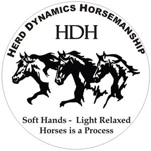 Horse Training--Give your Horse a Foundation .....