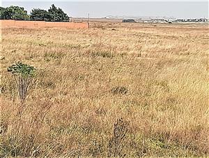 Farm For Sale in Zesfontein A H