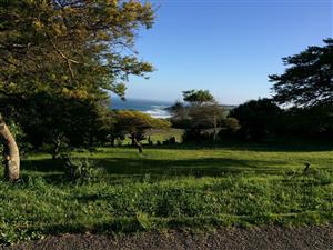 Breaker Views from this plot in Cintsa East