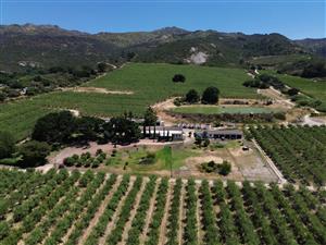 Prime Paardeberg Farm for Sale – Paarl