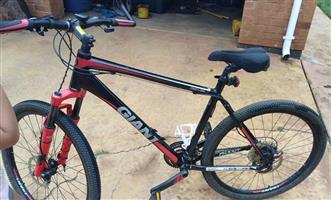 giant xl mountain bike for sale