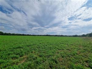 Groot Marico! Excellent 28 ha Crop & Cattle Farm for Sale – A True Bushveld Gem!