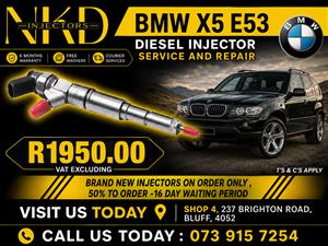 Repair_BMW_X5_E53_Injectors 