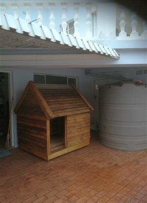 Dog kennel/house 
