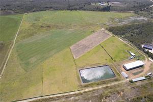 Small holding with water and electricity!