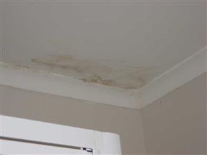 Roof Repair Service | Roof Leak Repairs