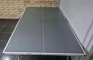 Table Tennis Board Big
