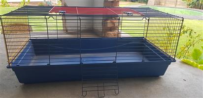Guinea pig cage 