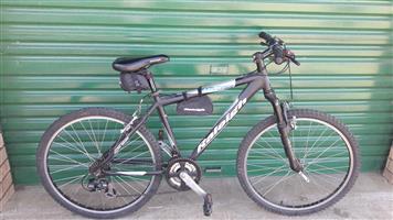 raleigh explorer mountain bike