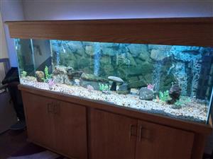 2.1m by 600 by 650 Fish Tank For Sale