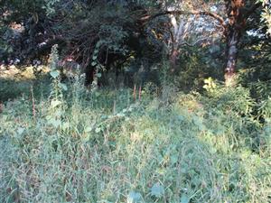 Vacant Land Residential For Sale in Henley On Klip