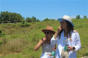 BUILD IN SEATON ESTATE