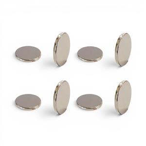 License Plate Rare Earth Magnets - set of 8 - 15mm x 5mm
