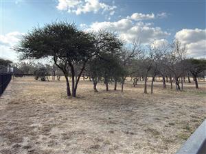 Vacant Land Commercial For Sale in Zandspruit Bush & Aero Estate
