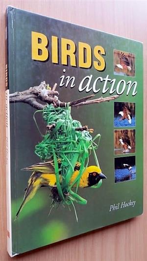 Birds in action