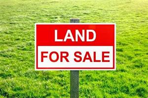 Land for sale in Zakarriya Park ext 5 (1007 sqm)