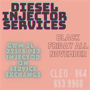 Diesel Injector